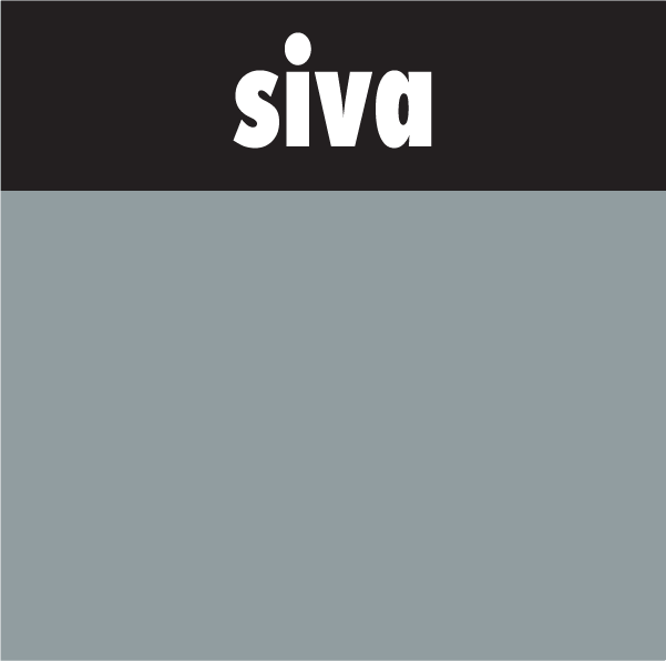 Slika različice za siva