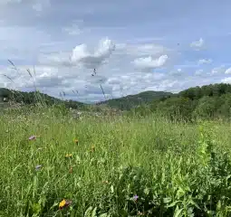 gajcom ime podjetja