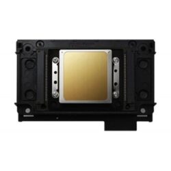 EPSON XP600